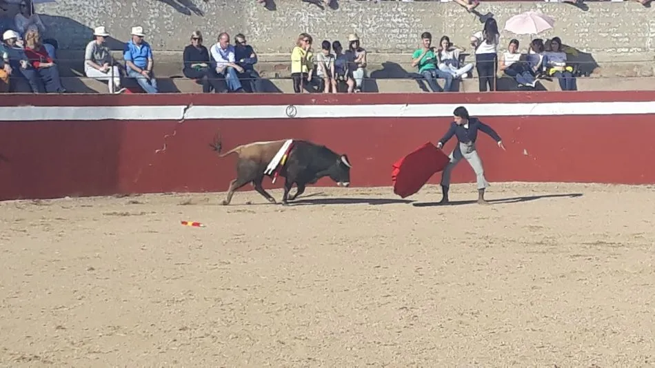 Foto 3 - Una paella de 500 raciones para despedir el Corpus en El Cubo de Don Sancho  