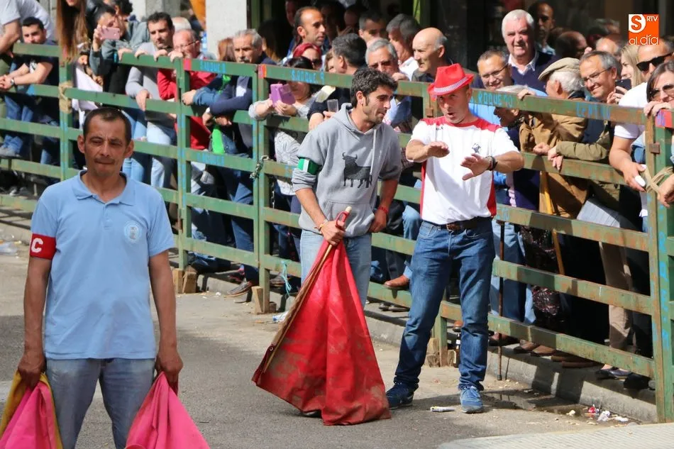 Foto 9 - Apote&oacute;sico final de las fiestas con el primer Toro Fin del Corpus en Vitigudino  