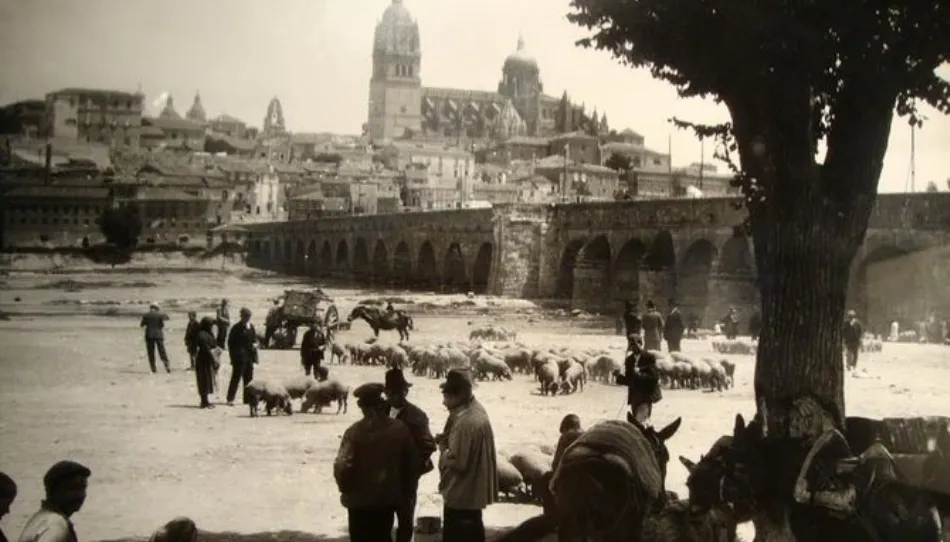 Los lunes de mercado, junto al Puente Romano