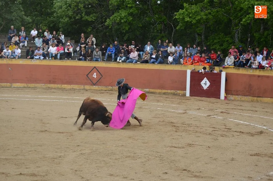 Foto 5 - Una animada novillada sirve de colof&oacute;n al fin de semana festivo