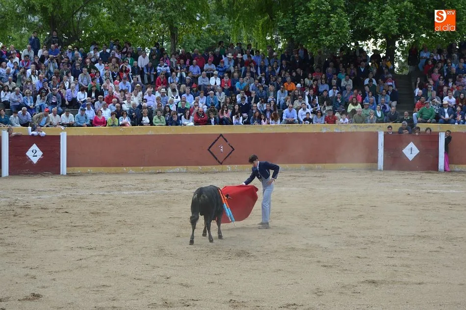 Foto 4 - Una animada novillada sirve de colof&oacute;n al fin de semana festivo