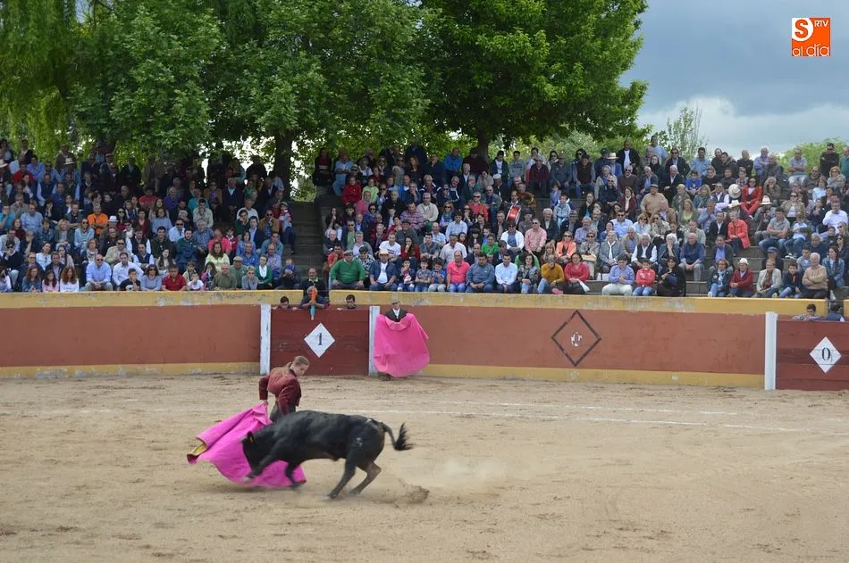 Foto 2 - Una animada novillada sirve de colof&oacute;n al fin de semana festivo