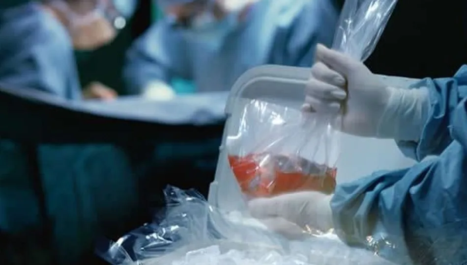 Las mujeres donan más del doble de órganos en vida que los hombres