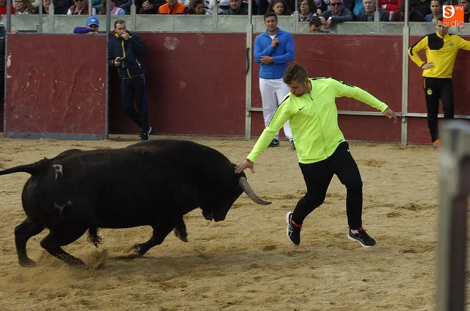 Ambiente taurino y festivo en los coletazos del Corpus de Sancti-Spíritus/Rep.gráfico:Adrián Martín