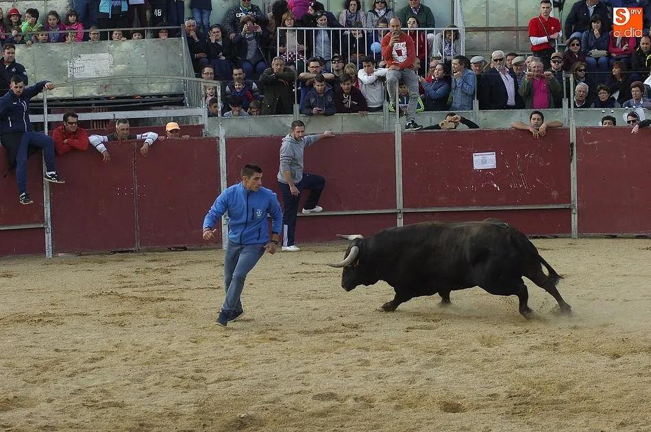 Foto 10 - El Toro del Caj&oacute;n concita gran expectaci&oacute;n en una tarde repleta de disfraces y m&uacute;sica  
