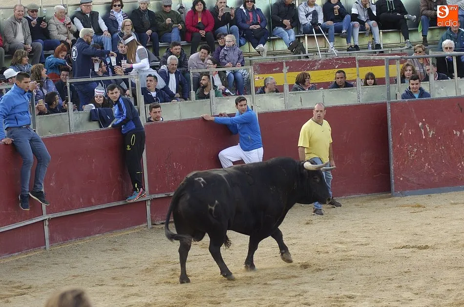 Foto 8 - El Toro del Caj&oacute;n concita gran expectaci&oacute;n en una tarde repleta de disfraces y m&uacute;sica  