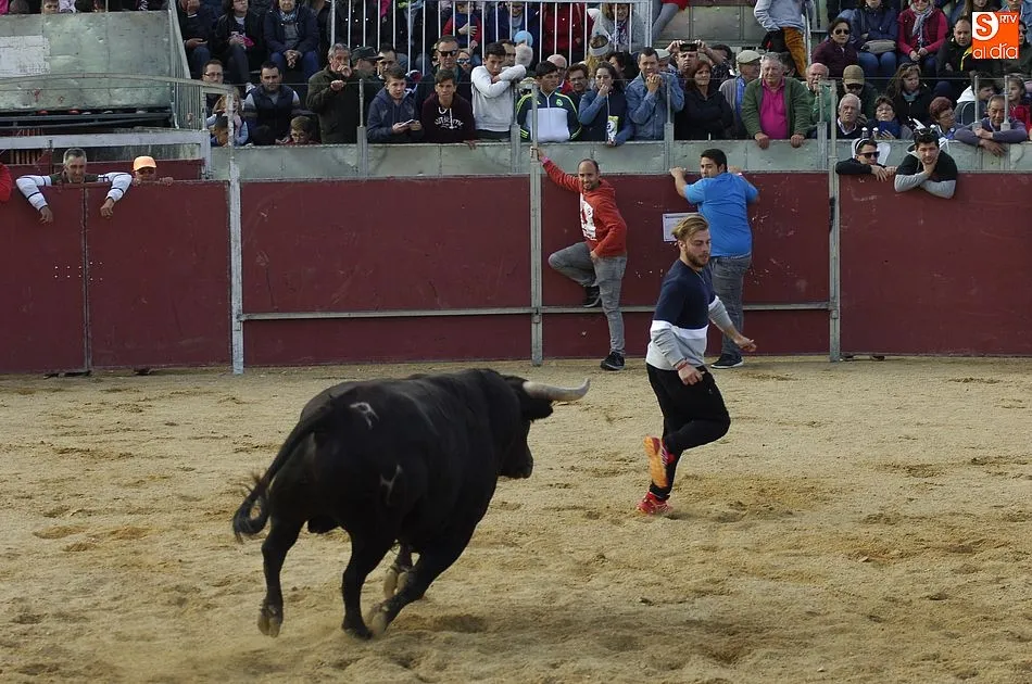 Foto 4 - El Toro del Caj&oacute;n concita gran expectaci&oacute;n en una tarde repleta de disfraces y m&uacute;sica  