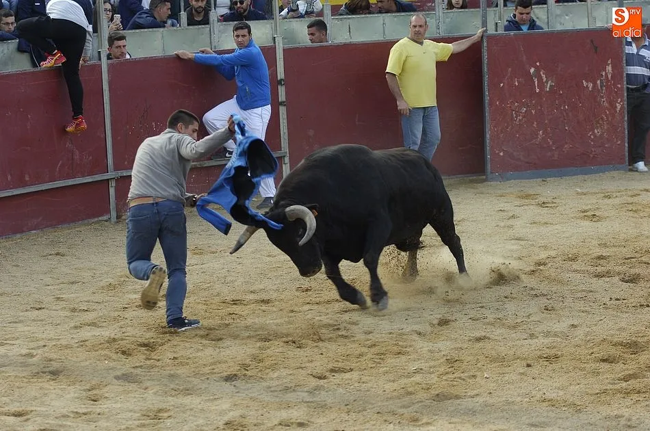 Foto 6 - El Toro del Caj&oacute;n concita gran expectaci&oacute;n en una tarde repleta de disfraces y m&uacute;sica  