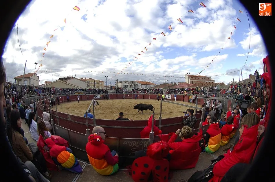 Foto 2 - El Toro del Caj&oacute;n concita gran expectaci&oacute;n en una tarde repleta de disfraces y m&uacute;sica  
