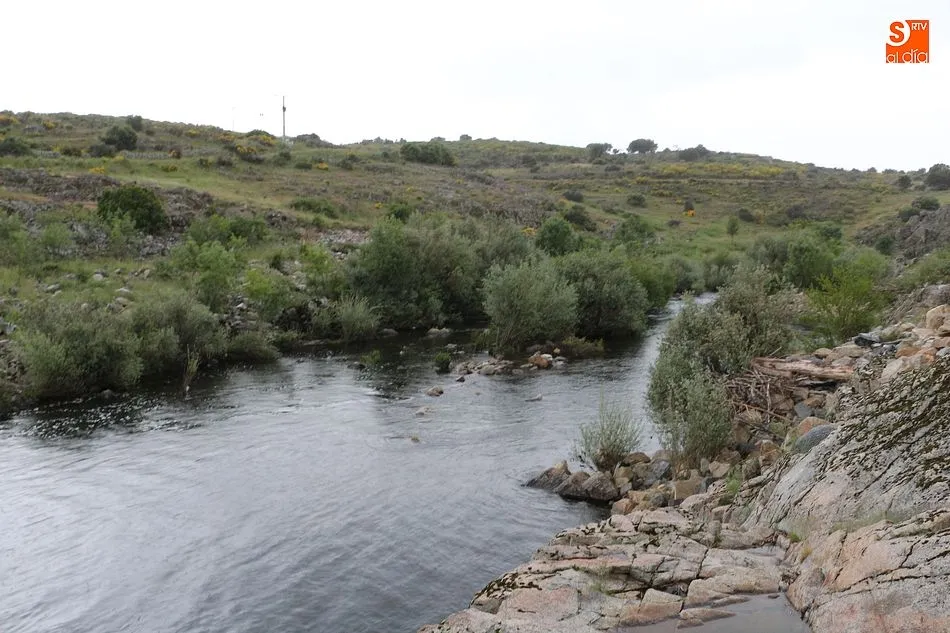 Foto 8 - El Seprona y la Confederaci&oacute;n Hidrogr&aacute;fica del Duero investigan una posible denuncia falsa de...