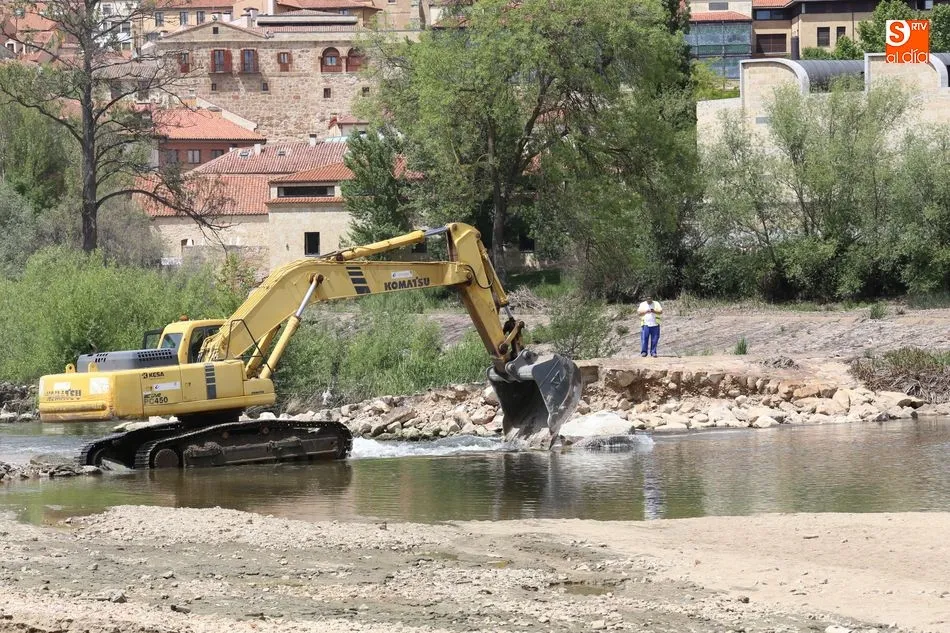 Foto 5 - Comienzan&nbsp;las labores para reparar la pesquera del Tormes y limpiar el cauce del r&iacute;o  