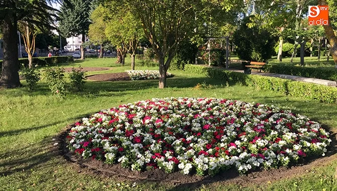 El parque de Los Jardines es uno de los lugares en los que se están plantando las 6.500 nuevas flores de temporada