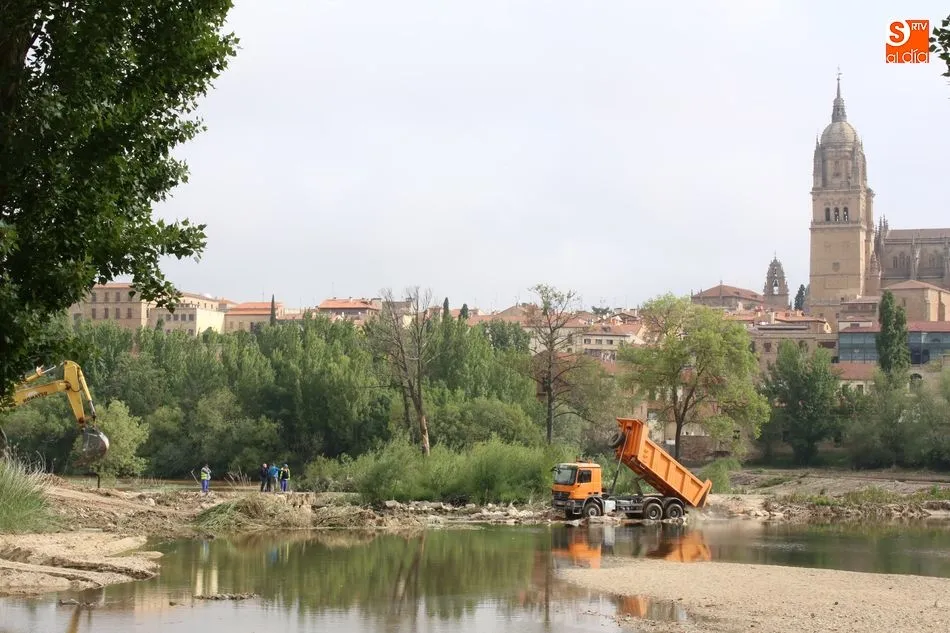 Foto 7 - La limpieza del Tormes, un espect&aacute;culo para los viandantes