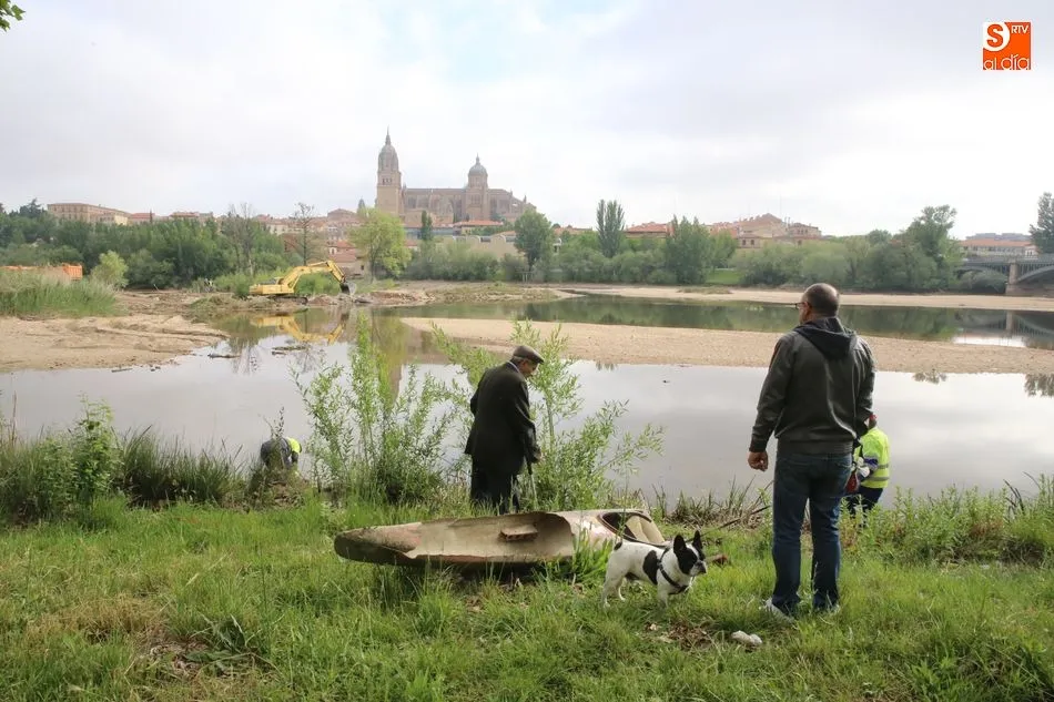 Foto 5 - La limpieza del Tormes, un espect&aacute;culo para los viandantes