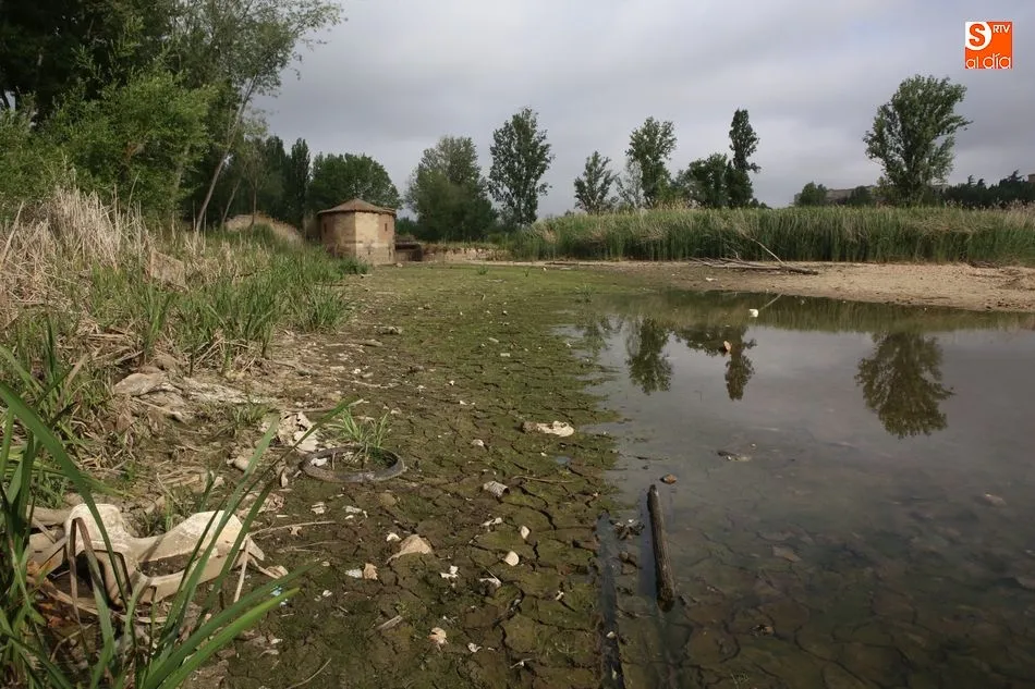 Foto 4 - La limpieza del Tormes, un espect&aacute;culo para los viandantes