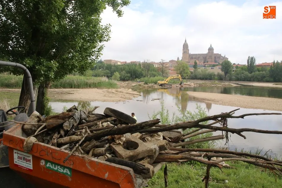 Foto 3 - La limpieza del Tormes, un espect&aacute;culo para los viandantes