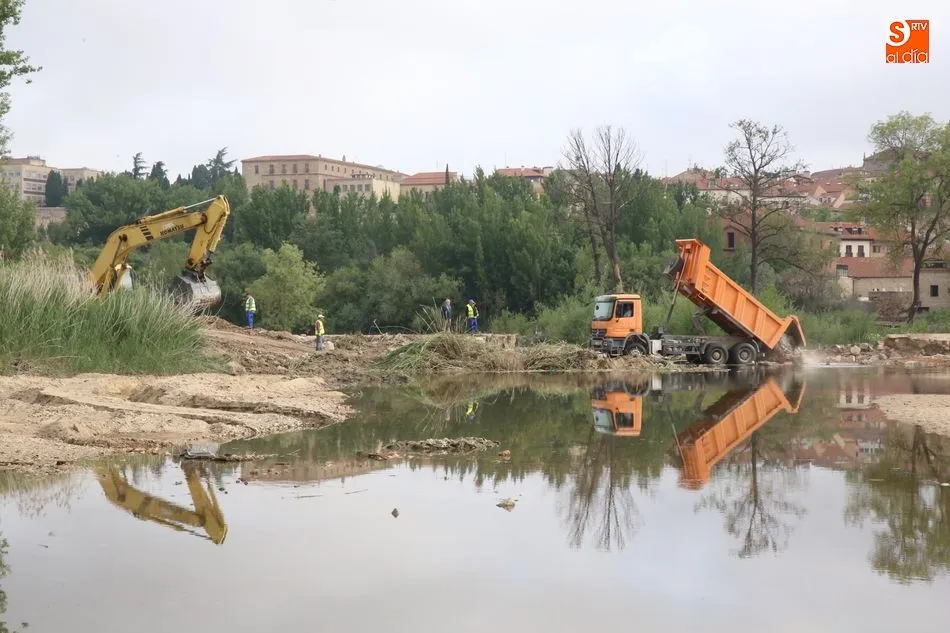 Foto 2 - La limpieza del Tormes, un espect&aacute;culo para los viandantes