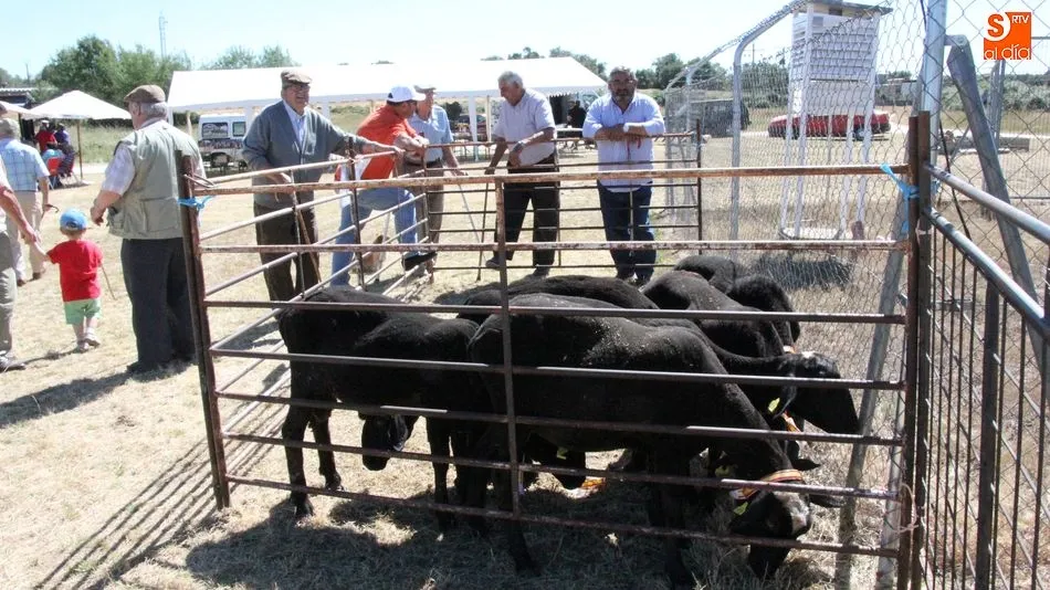 Foto 2 - Gran animaci&oacute;n de p&uacute;blico en la feria ganadera de junio de Ba&ntilde;ob&aacute;rez