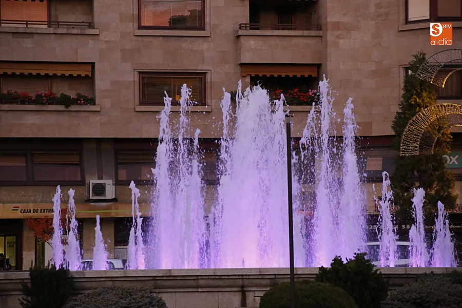Fuente de la Puerta Zamora.