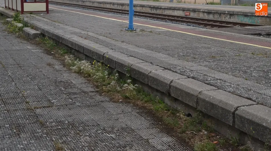 Foto 6 - Una usuaria se ve obligada a esperar 45 minutos en mitad de la madrugada a que aparezca el tren  