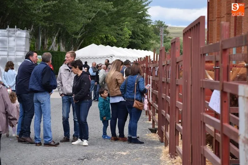 Foto 6 - La Feria de San Antonio abre sus puertas