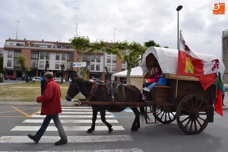 Foto 4 - Los paseos en carro por la feria encandilan a los m&aacute;s peque&ntilde;os