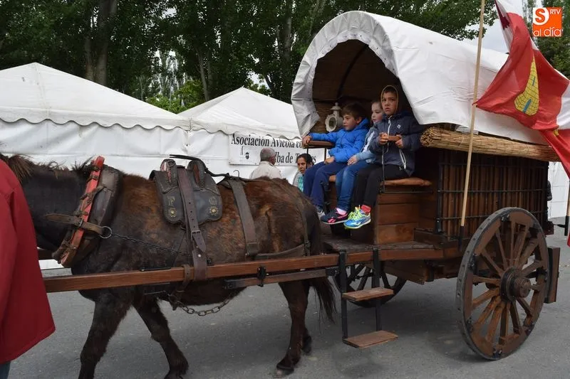 Foto 2 - Los paseos en carro por la feria encandilan a los m&aacute;s peque&ntilde;os