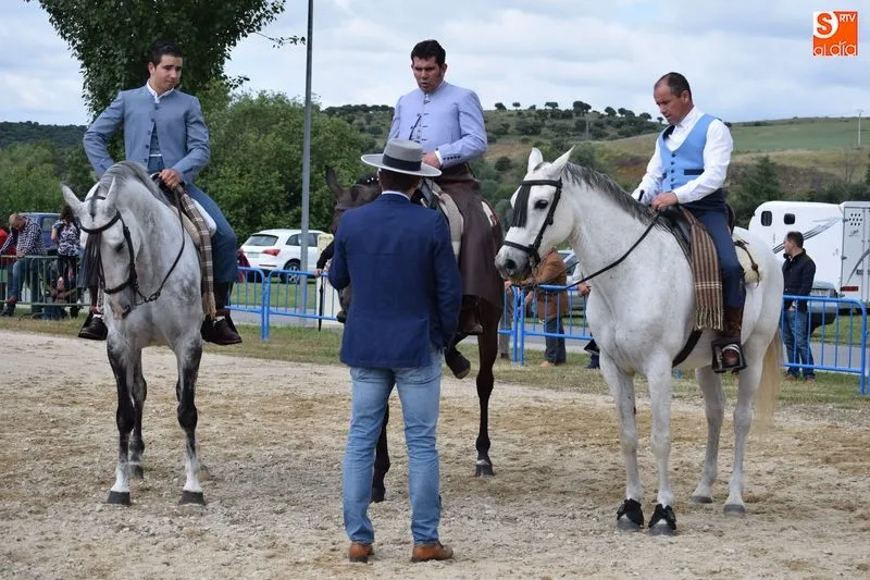 Foto 6 - El I Concurso Territorial de Equitaci&oacute;n de Trabajo Alba de Tormes genera gran expectaci&oacute;n
