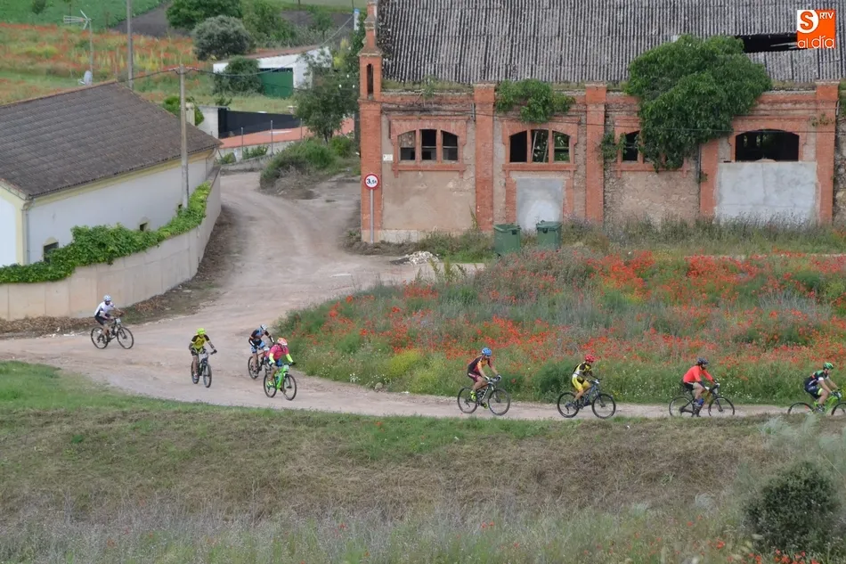 Foto 3 - Un total de 202 ciclistas se enfrentan a La Bibici  