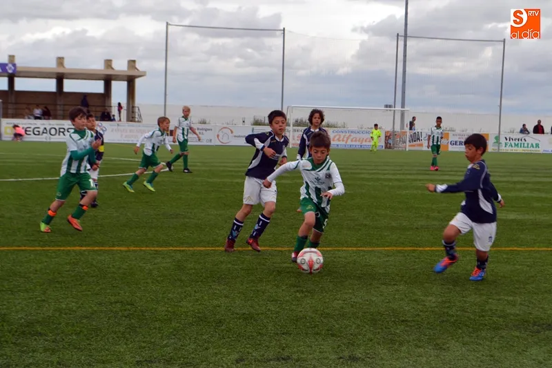 Foto 9 - Nueve equipos y casi 12 horas de f&uacute;tbol consolidan un multitudinario VII Torneo de F&uacute;tbol 7...
