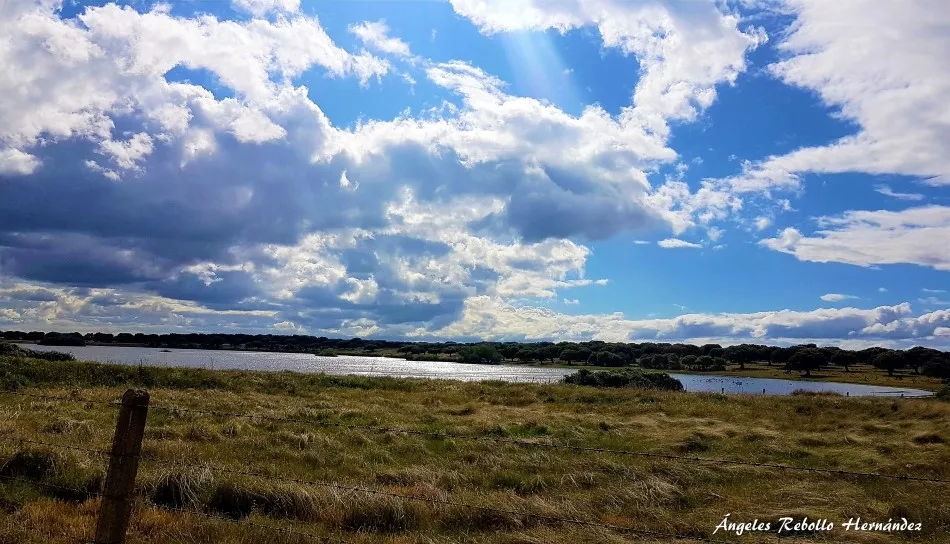 Universales en la permanencia
