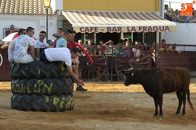 Capea de las Fiestas de San Antonio 2017 de Martín de Yeltes | Foto Adrián Martín