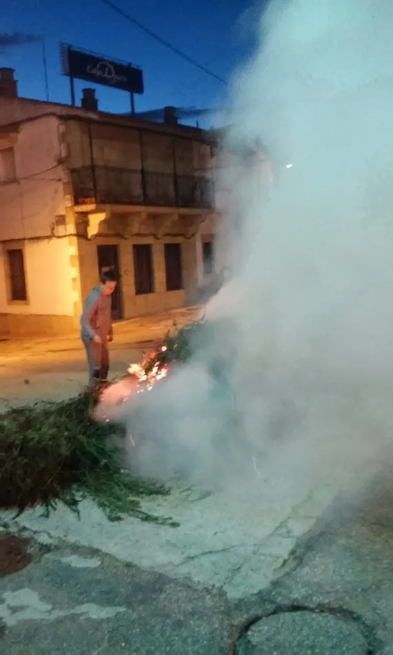 Foto 2 - Aroma a senserina para honrar a San Juan de Sahag&uacute;n en Villarino de los Aires  
