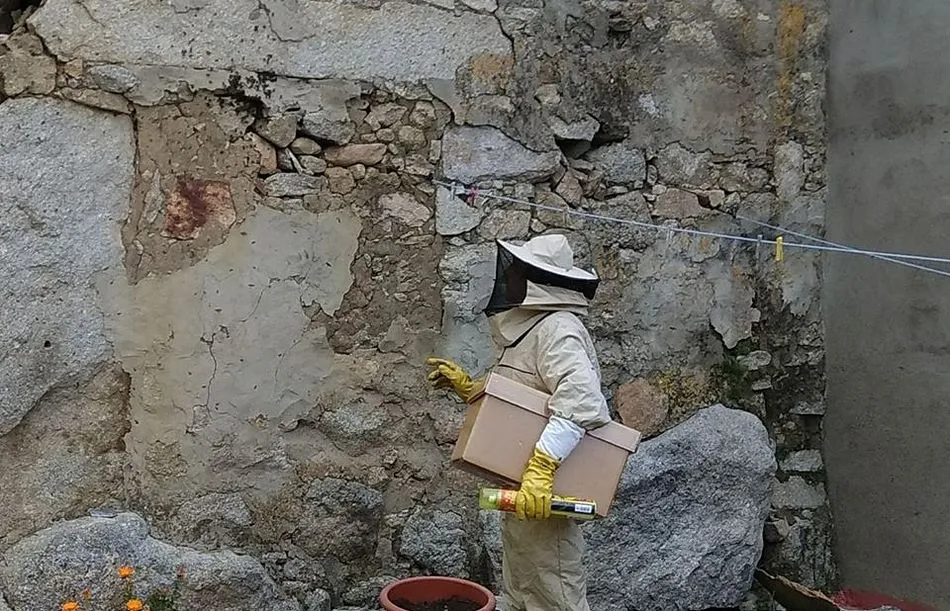 Foto 6 - Los bomberos de Guijuelo retiran cinco colmenas de abejas en 10 d&iacute;as