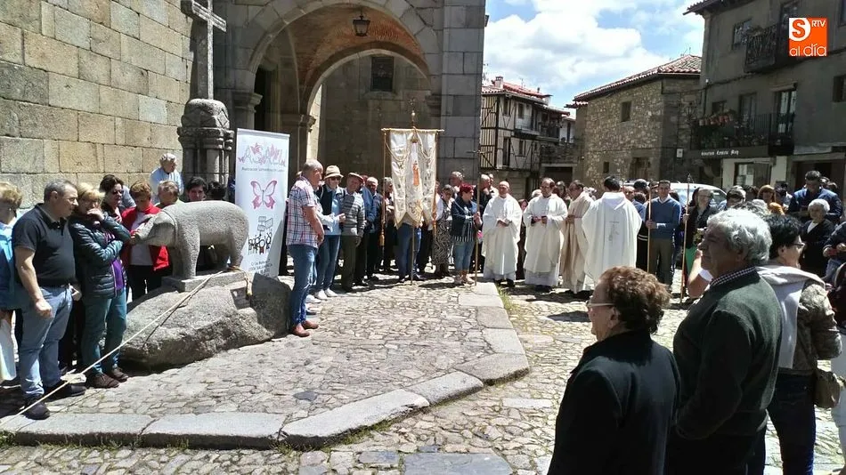 Foto 10 - El marrano de San Ant&oacute;n concienciar&aacute; sobre el lupus
