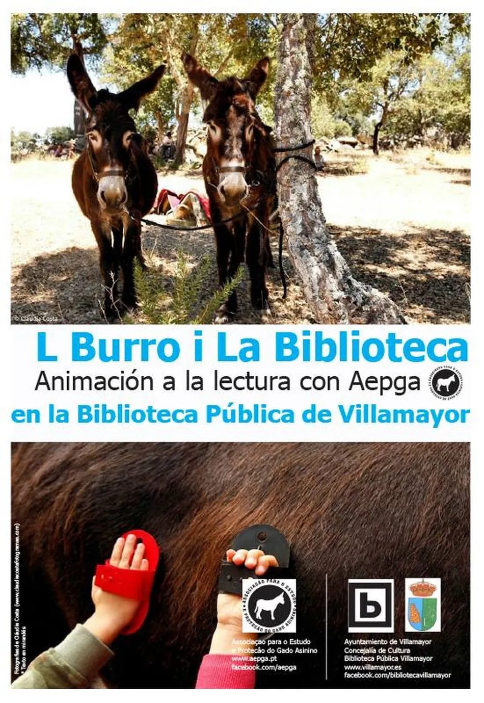Foto 2 - Los usuarios de la Biblioteca P&uacute;blica de Villamayor sacan a la luz dos cuentos colaborativos  