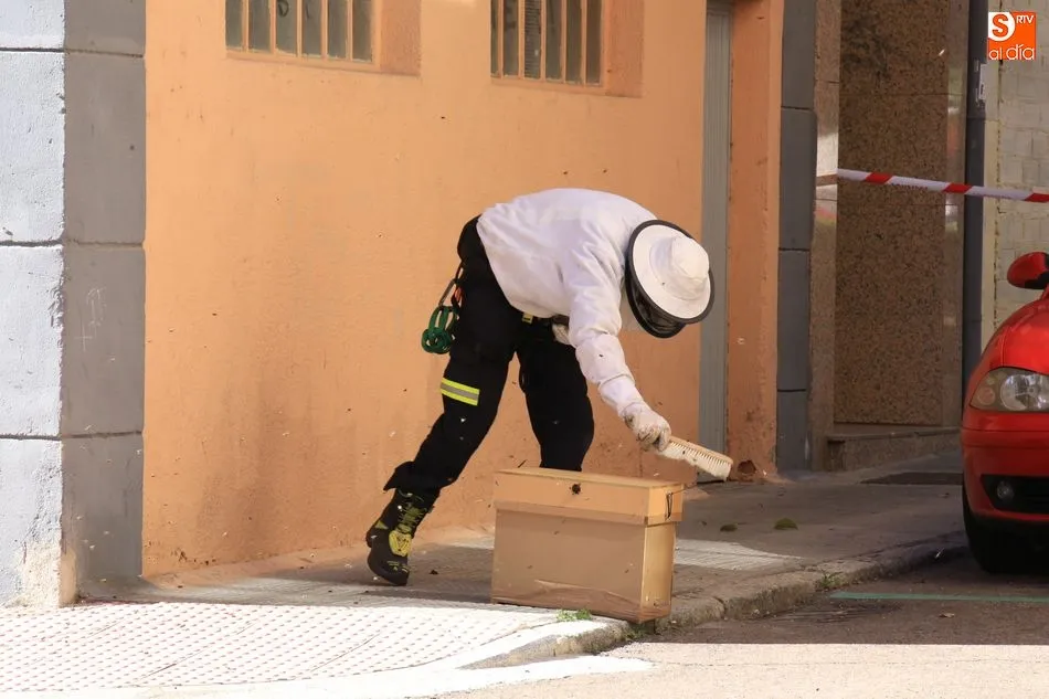Foto 6 - Un enjambre de abejas desata la alarma en la calle Arroyo de la Lastra