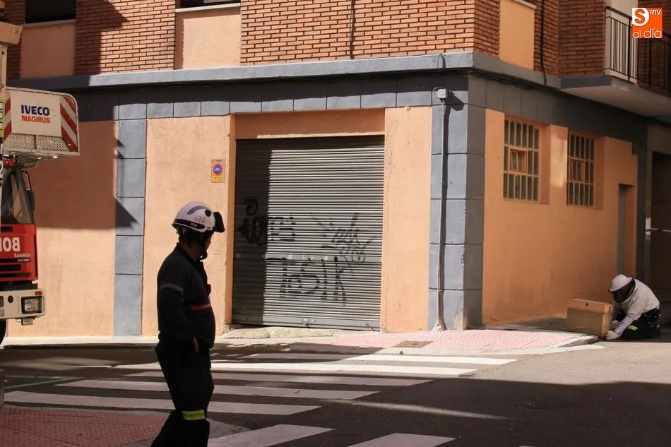 Foto 5 - Un enjambre de abejas desata la alarma en la calle Arroyo de la Lastra