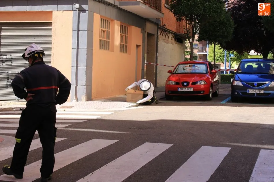 Foto 2 - Un enjambre de abejas desata la alarma en la calle Arroyo de la Lastra