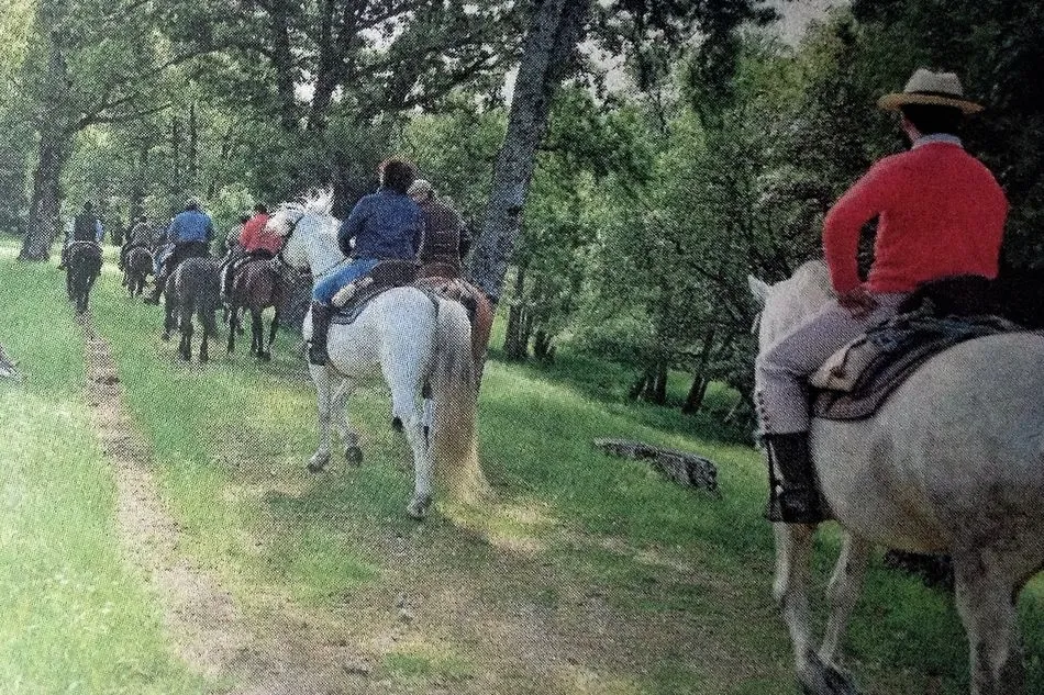 Foto 2 - La PDB denuncia la arbitrariedad en la apertura de El Bosque   