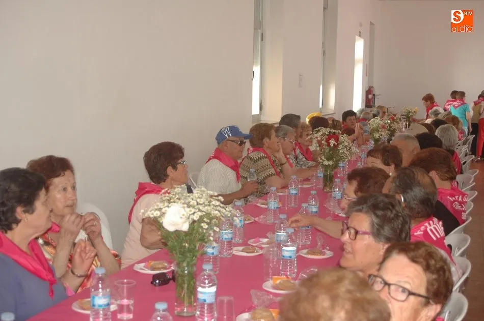 Foto 6 - Cerca de 170 mayores de nueve localidades celebran en Mieza el fin de curso de gimnasia  