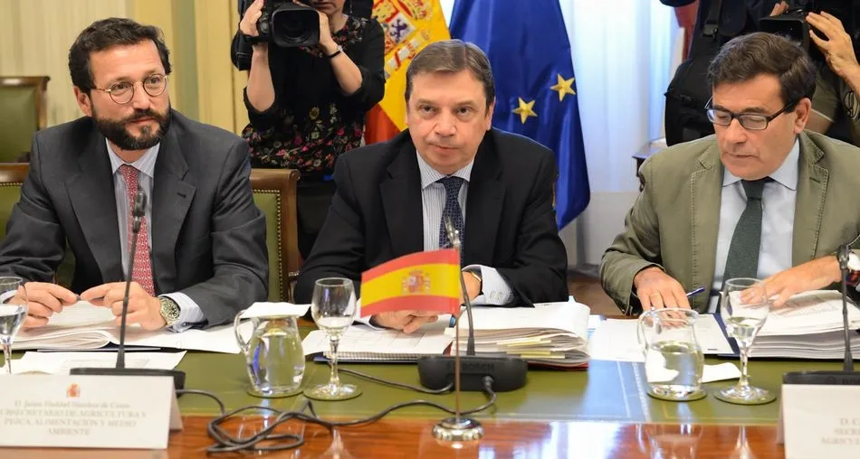 El ministro, en el centro, durante la reunión del comité consultivo