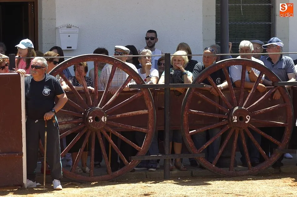 Foto 6 - Entretenido primer encierro en Mart&iacute;n de Yeltes con una climatolog&iacute;a por fin veraniega  