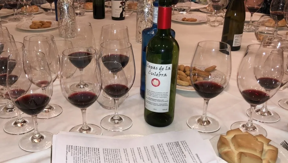 Cepas de la Culebra. Vintage 2015 es un vino resultado de las uvas mencía, tempranillo y palomino / FOTOS: JAVIER BRAGADO