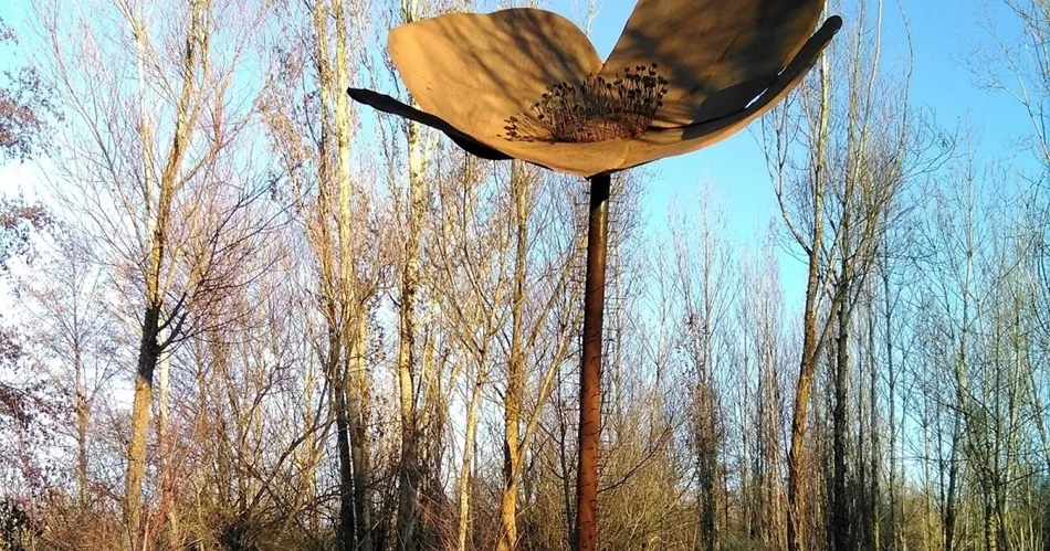 Arte Emboscado, en la Fundación Tormes EB.