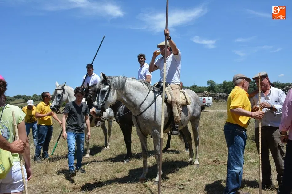 Foto 9 - Animado y concurrido &lsquo;apartado de la corrida&rsquo; en el monte de Hinojosa de Duero