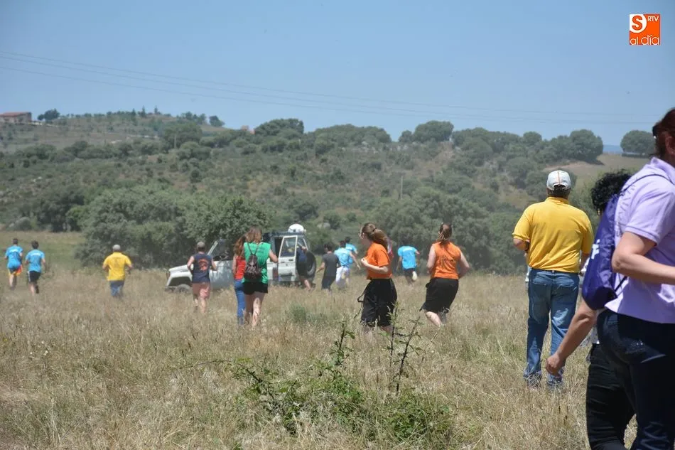 Foto 8 - Animado y concurrido &lsquo;apartado de la corrida&rsquo; en el monte de Hinojosa de Duero