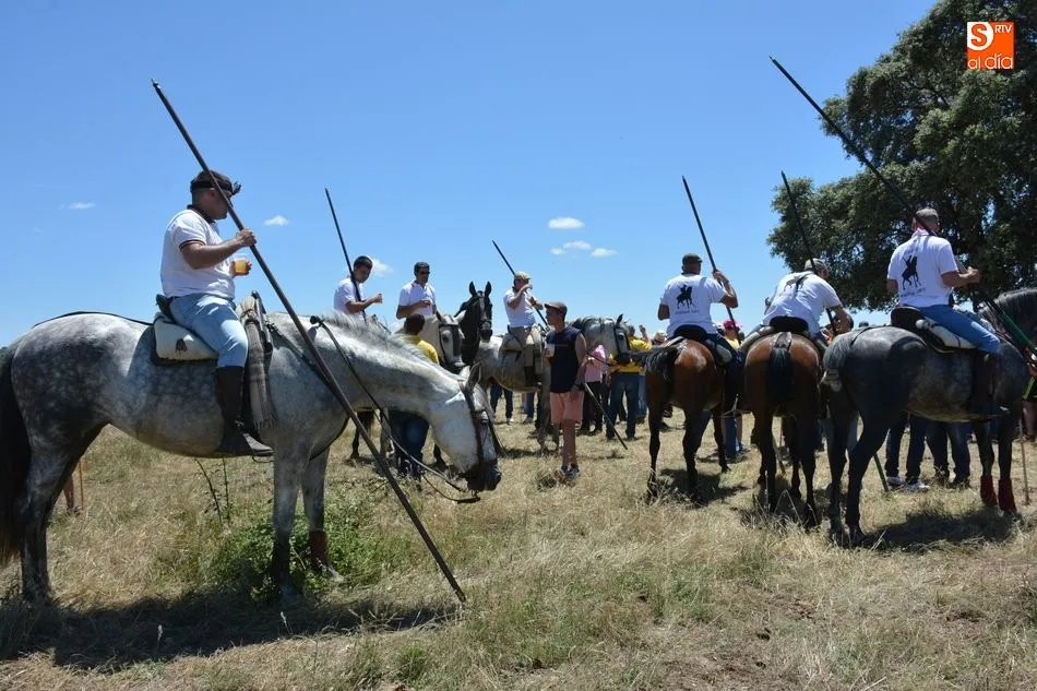 Foto 7 - Animado y concurrido &lsquo;apartado de la corrida&rsquo; en el monte de Hinojosa de Duero