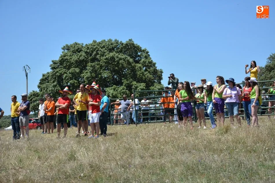Foto 6 - Animado y concurrido &lsquo;apartado de la corrida&rsquo; en el monte de Hinojosa de Duero
