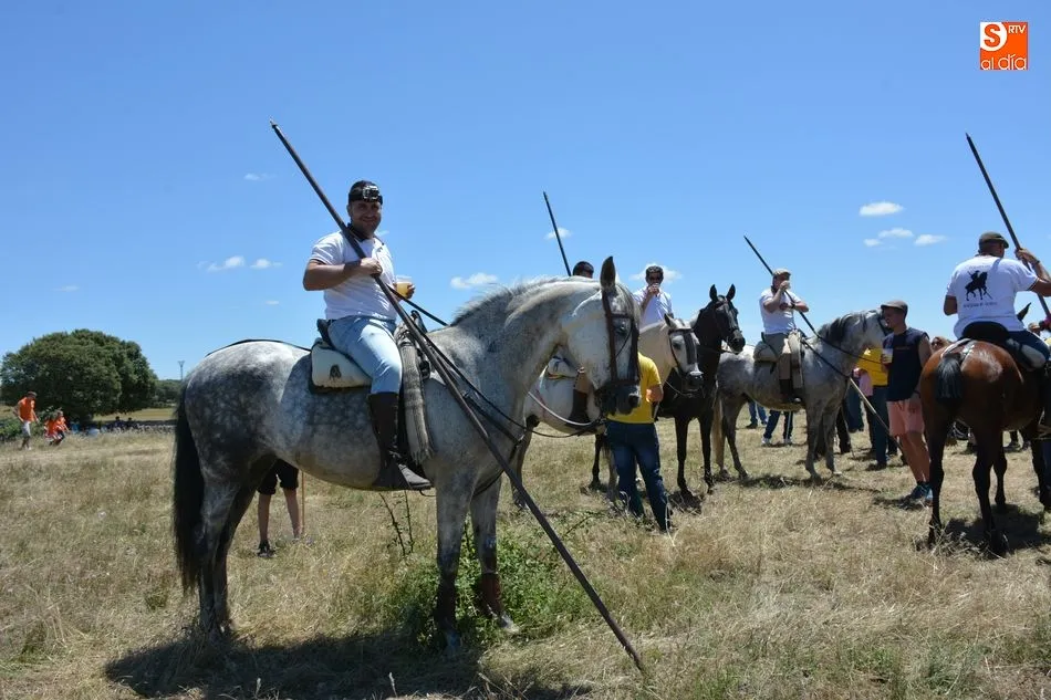 Foto 4 - Animado y concurrido &lsquo;apartado de la corrida&rsquo; en el monte de Hinojosa de Duero